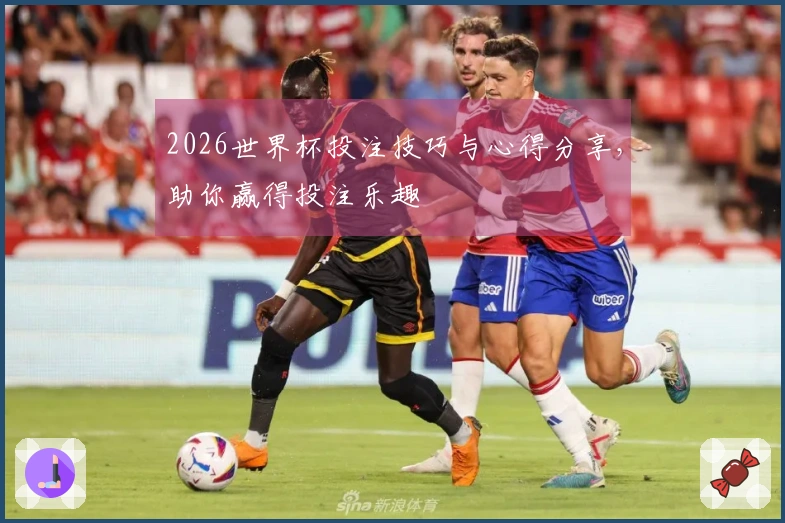 2026世界杯投注技巧与心得分享，助你赢得投注乐趣