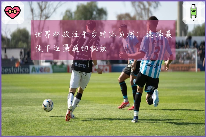 世界杯投注平台对比分析：选择最佳下注渠道的秘诀