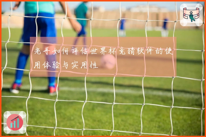 老手如何评估世界杯竞猜软件的使用体验与实用性