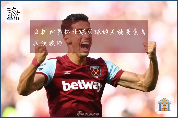 分析世界杯让球买球的关键要素与投注技巧