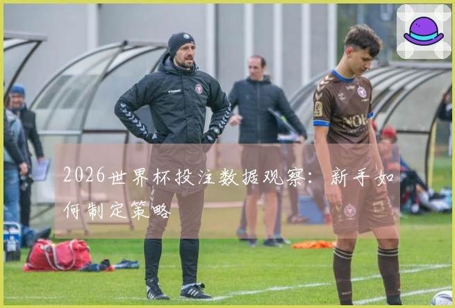 2026世界杯投注数据观察：新手如何制定策略