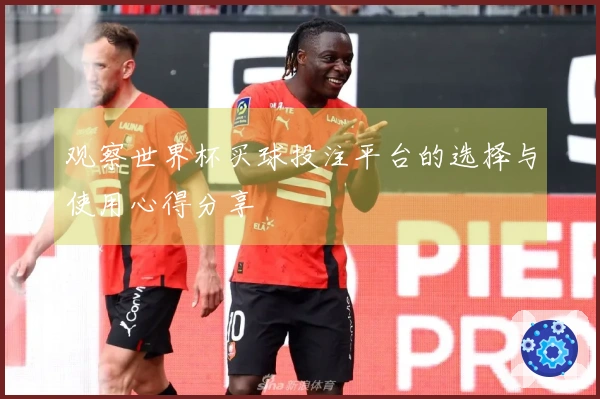 观察世界杯买球投注平台的选择与使用心得分享