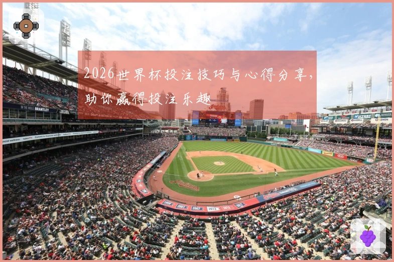 2026世界杯投注技巧与心得分享，助你赢得投注乐趣