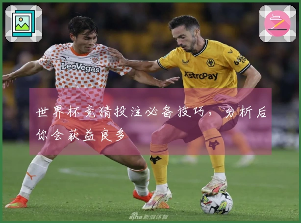 世界杯竞猜投注必备技巧，分析后你会获益良多