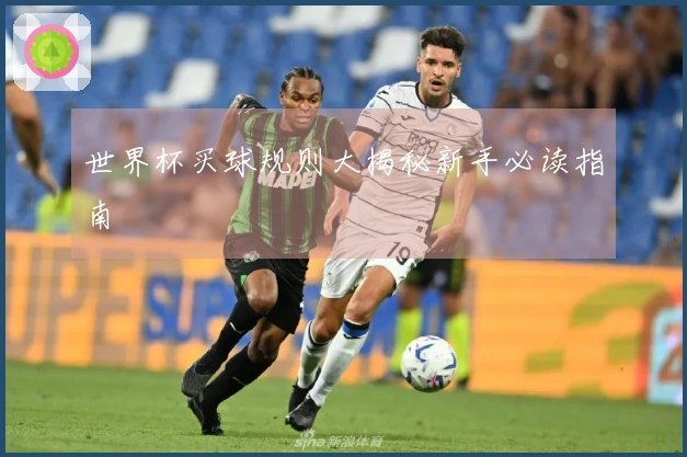 世界杯买球规则大揭秘新手必读指南