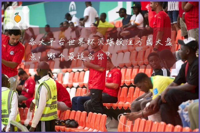 各大平台世界杯买球投注方式大盘点,哪个最适合你?