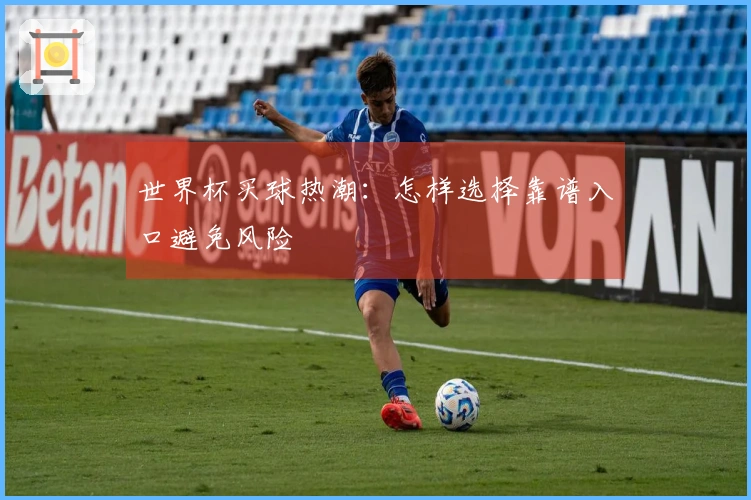 世界杯买球热潮:怎样选择靠谱入口避免风险