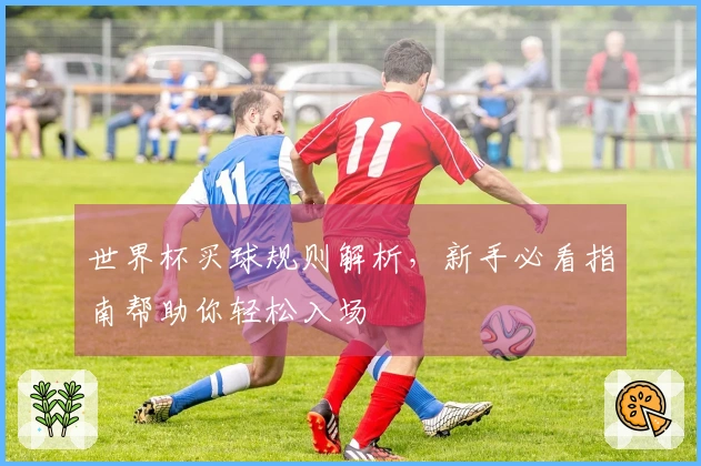 世界杯买球规则解析，新手必看指南帮助你轻松入场