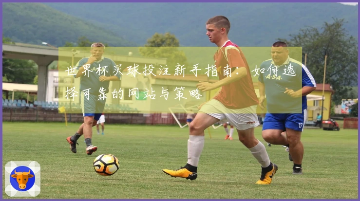 世界杯买球投注新手指南：如何选择可靠的网站与策略