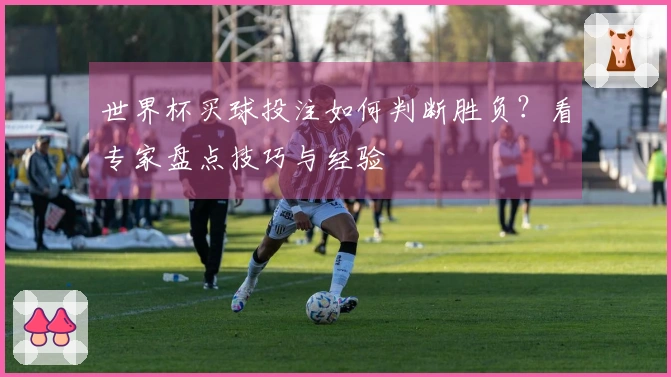 世界杯买球投注如何判断胜负？看专家盘点技巧与经验