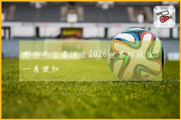 哪些平台最适合2026世界杯投注？一看便知