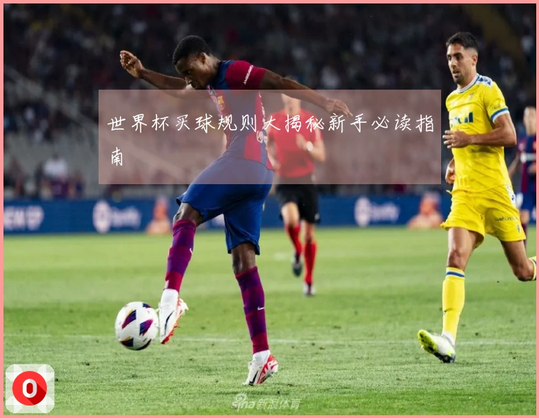 世界杯买球规则大揭秘新手必读指南
