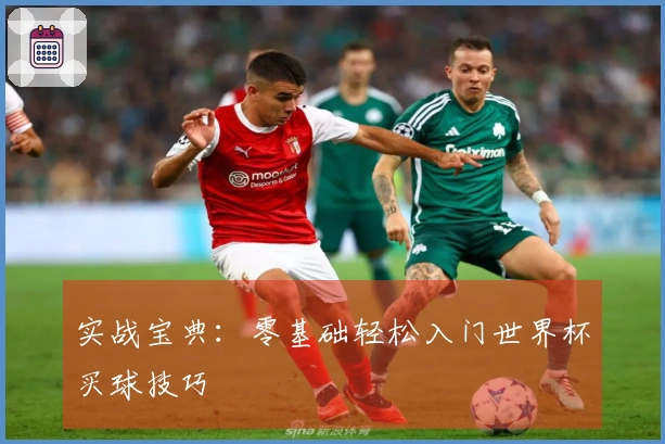 实战宝典：零基础轻松入门世界杯买球技巧