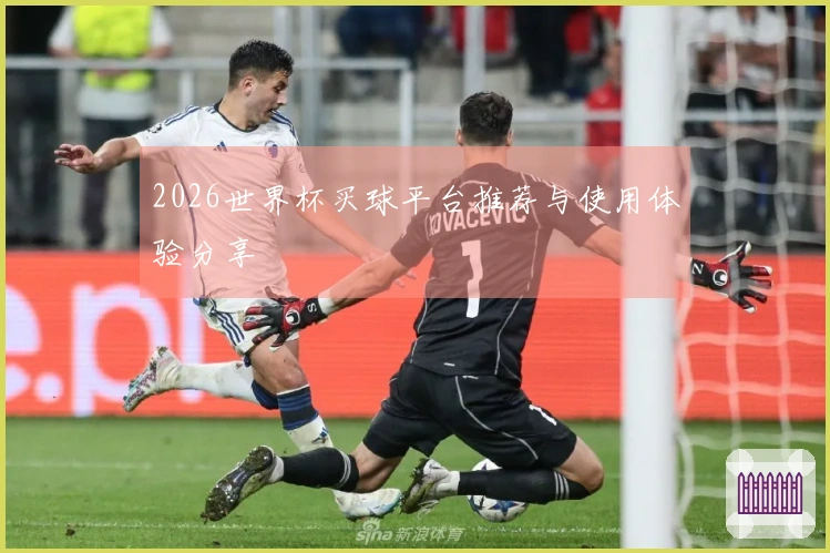 2026世界杯买球平台推荐与使用体验分享