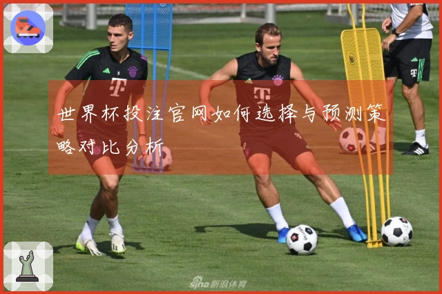 世界杯投注官网如何选择与预测策略对比分析
