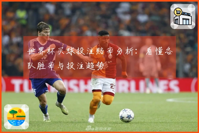 世界杯买球投注赔率分析：看懂各队胜率与投注趋势