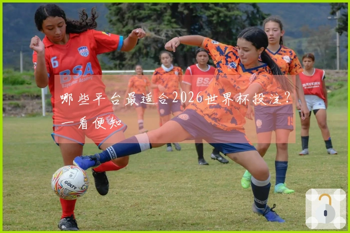 哪些平台最适合2026世界杯投注？一看便知