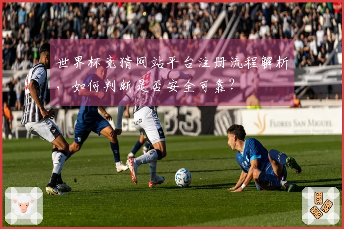 世界杯竞猜网站平台注册流程解析，如何判断是否安全可靠？