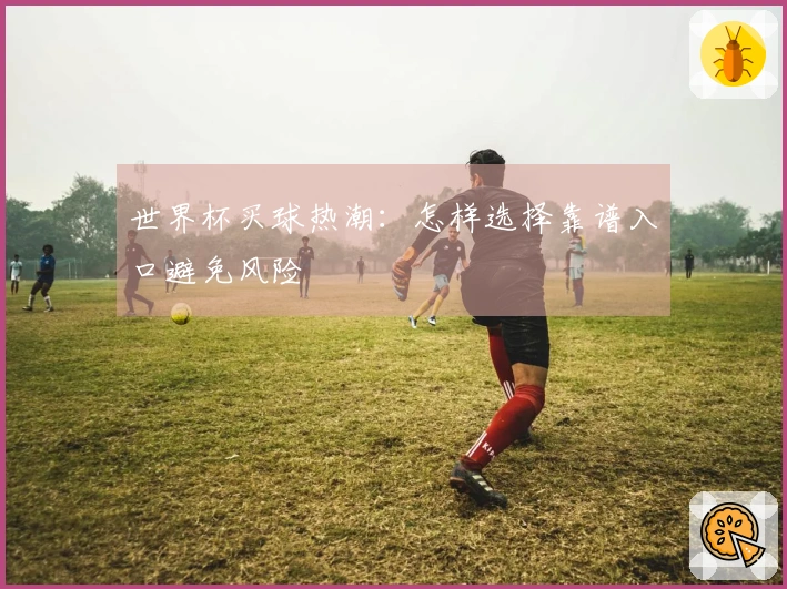 世界杯买球热潮：怎样选择靠谱入口避免风险