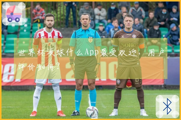 世界杯滚球什么App最受欢迎，用户评价如何？