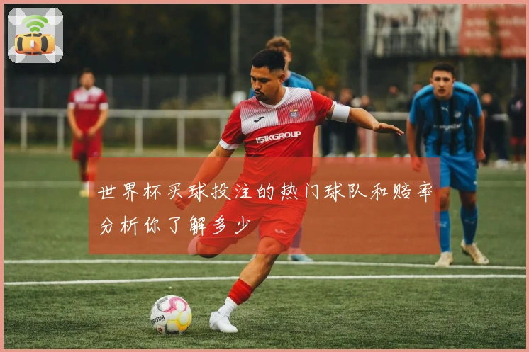 世界杯买球投注的热门球队和赔率分析你了解多少