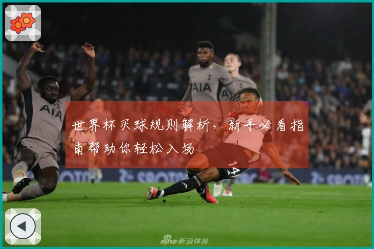 世界杯买球规则解析,新手必看指南帮助你轻松入场