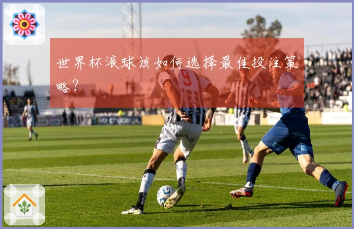世界杯滚球该如何选择最佳投注策略？