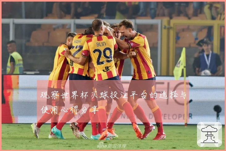 观察世界杯买球投注平台的选择与使用心得分享