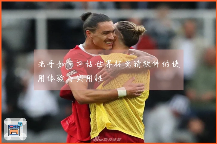 老手如何评估世界杯竞猜软件的使用体验与实用性